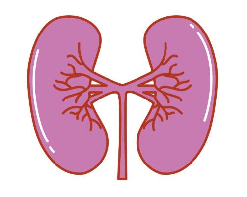 肾结晶可以排出来吗?肾结晶用排石颗粒效果好吗