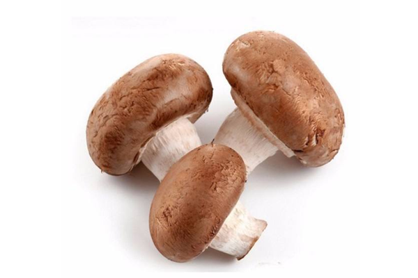 香菇是不是发物 香菇的嘌呤含量高不高 香菇是不是发物 香菇的嘌呤含量高不高