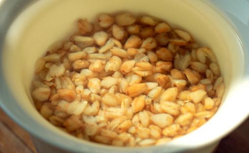 湿气重可以喝苦荞茶吗 喝苦荞茶会上火吗