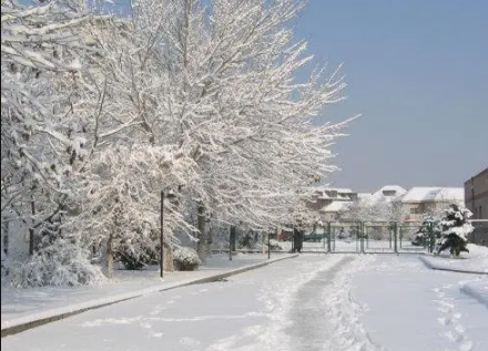 2022冬天不下雪是预兆来年干旱吗2