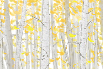 秋葵不能和什么一起吃 有什么禁忌 秋葵不能和什么一起吃 有什么禁忌