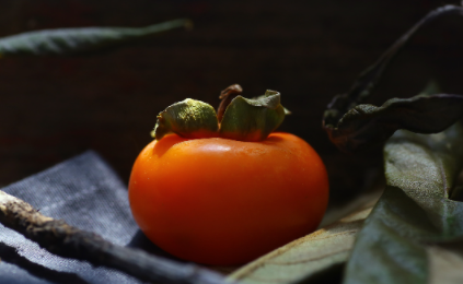 柿子的功效与作用有哪些2