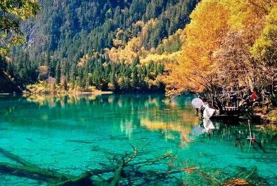 有两张卡的手机行程卡能同步吗?新手机号可以查行程卡吗