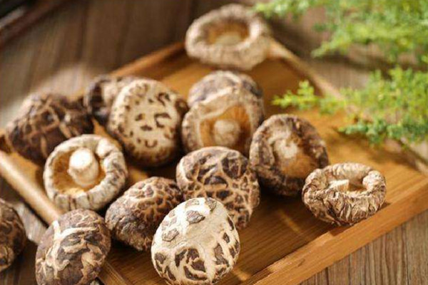 香菇孕妇可以吃吗 香菇孕妇吃了有什么好处