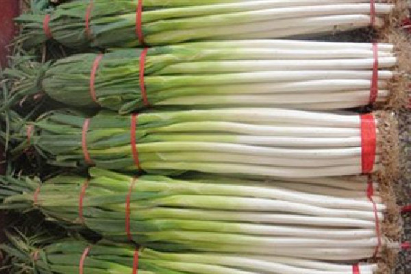 大葱可以保存多久 大葱放冰箱好还是放外面好 大葱可以保存多久 大葱放冰箱好还是放外面好