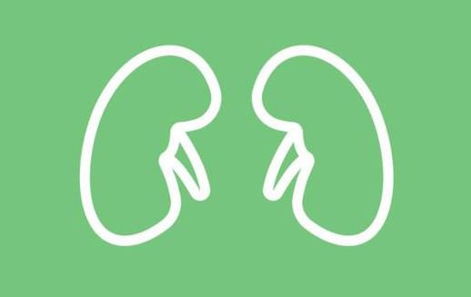 肾结晶可以排出来吗?肾结晶用排石颗粒效果好吗