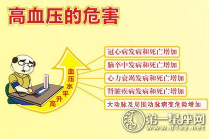 饮食文化 饮食文化