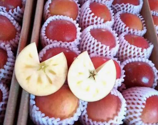 丑苹果为什么叫丑苹果?野生丑苹果有什么营养价值