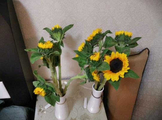 醒花能用桶装水吗?醒花的水可以直接当做插花水吗