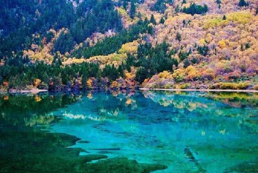 有两张卡的手机行程卡能同步吗?新手机号可以查行程卡吗