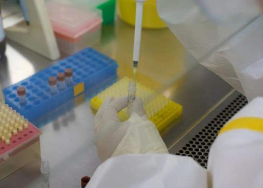 高速公路上要检查核酸检测报告吗?48小时核酸检测网上怎么查结果