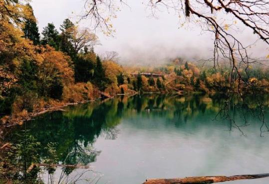 行程卡能看到在某地停留的时间吗?行程卡可以查到几号到达过某地吗