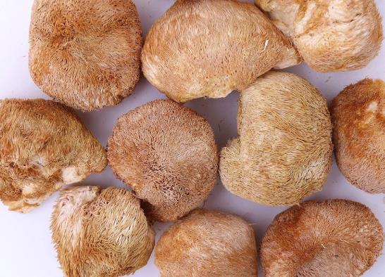 猴头菇的味道苦正常吗?猴头菇为啥吃起来是苦的