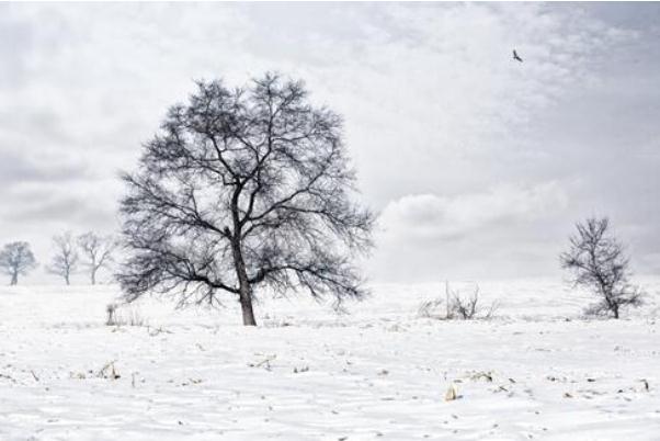 寒潮是怎么形成的 寒潮是什么现象 寒潮是怎么形成的 寒潮是什么现象