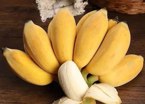 苹果蕉是怎么种出来的?苹果蕉和小米蕉有什么区别