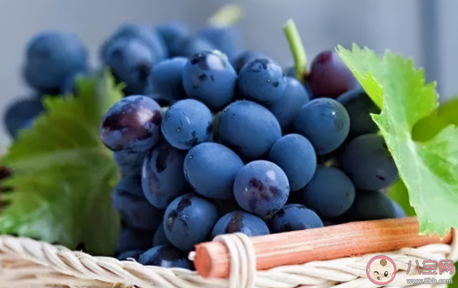 吃葡萄可以预防心脏病发作和卒中吗 吃葡萄要不要吐籽