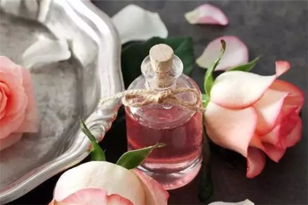 玫瑰精油可以直接滴在肚脐眼里吗 玫瑰精油滴肚脐眼里有什么作用 玫瑰精油可以直接滴在肚脐眼里吗 玫瑰精油滴肚脐眼里有什么作用