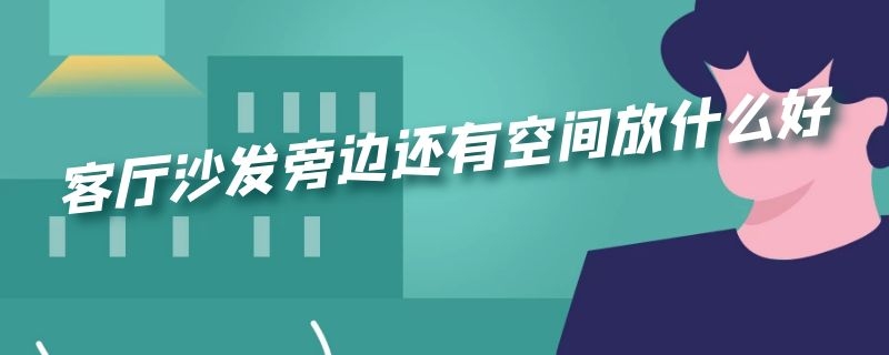 客厅沙发旁边还有空间放什么好