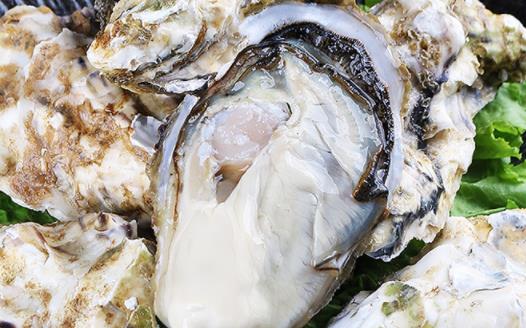 生蚝是吃大的好还是吃小的好 怎么挑生蚝才是最好的