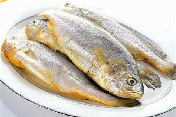 黄花鱼适合炖汤吗 黄花鱼炖汤好喝吗 黄花鱼适合炖汤吗 黄花鱼炖汤好喝吗