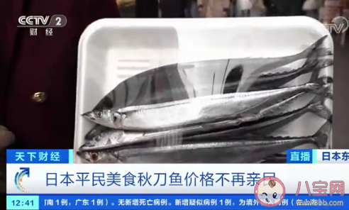 日本秋刀鱼价格暴涨 秋刀鱼营养价值怎样