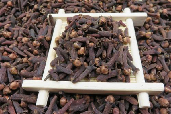 丁香对胃有什么好处 丁香养胃还是伤胃 丁香对胃有什么好处 丁香养胃还是伤胃