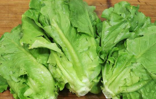 宝宝可以吃生菜吗?多大的宝宝可以吃生菜?