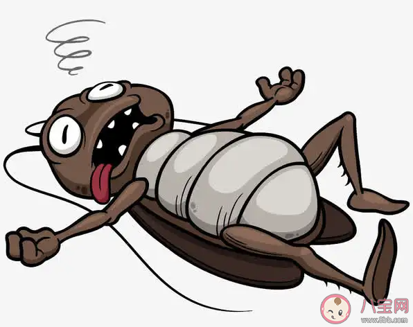 蟑螂怎么消灭 消除蟑螂的办法有哪些