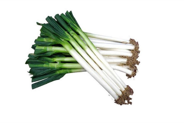 大葱可以保存多久 大葱放冰箱好还是放外面好 大葱可以保存多久 大葱放冰箱好还是放外面好