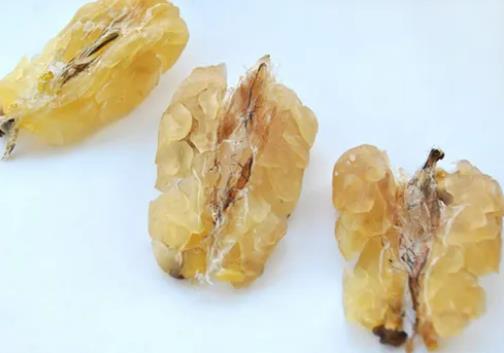 吃雪蛤可以补充雌激素吗?雪蛤一定要隔水炖吗