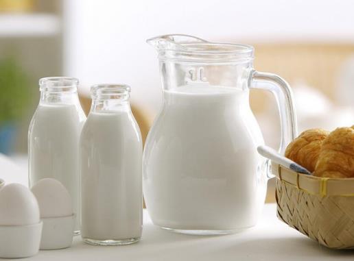 现挤的羊奶能直接喝吗?喝现挤的羊奶得布病是怎么回事