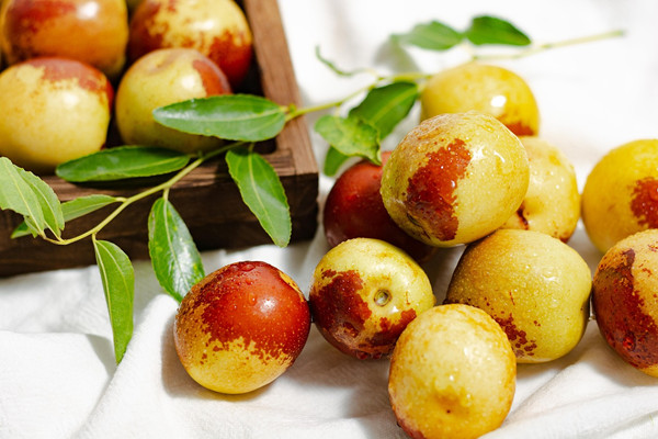 冬枣对胃有伤害吗 胃不好能吃冬枣吗 冬枣对胃有伤害吗 胃不好能吃冬枣吗