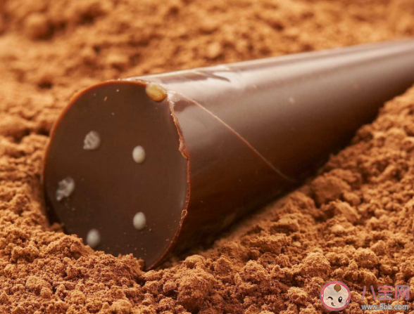 可以给孩子吃巧克力吗 孩子可以吃巧克力制品吗 可以给孩子吃巧克力吗 孩子可以吃巧克力制品吗