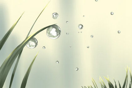 意大利阿尔巴白松露 意大利阿尔巴白松露