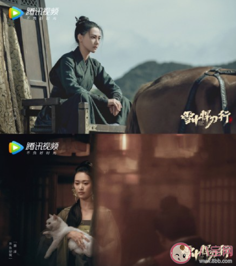 雪中悍刀行青鸟的结局是什么 青鸟最后和徐凤年走了吗 雪中悍刀行青鸟的结局是什么 青鸟最后和徐凤年走了吗