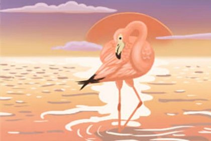 饮食文化 饮食文化