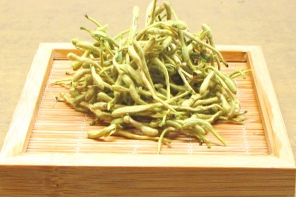 金银花能和山楂一起泡水喝吗 金银花能和蒲公英一起泡水喝吗 金银花能和山楂一起泡水喝吗 金银花能和蒲公英一起泡水喝吗