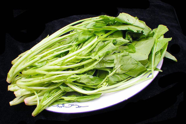 菠菜是否要焯水 菠菜不焯水可以吃吗 菠菜是否要焯水 菠菜不焯水可以吃吗