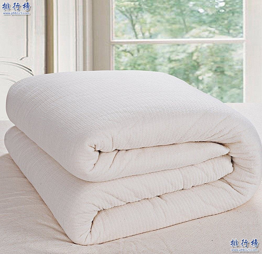 被子什么牌子好？蚕丝被，驼绒被，羊毛被等十大品牌推荐