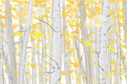 飲食文化 飲食文化