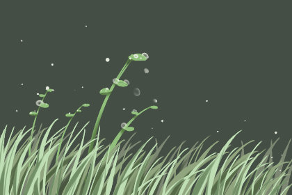 白露适宜的蔬果 饮食注意事项 白露适宜的蔬果 饮食注意事项