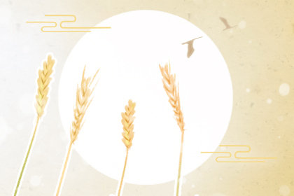 意大利阿尔巴白松露 意大利阿尔巴白松露