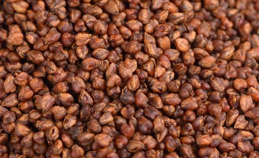 湿气重可以喝苦荞茶吗 喝苦荞茶会上火吗