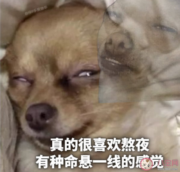 真的很喜欢造句大全 怎么用真的很喜欢造句 真的很喜欢造句大全 怎么用真的很喜欢造句