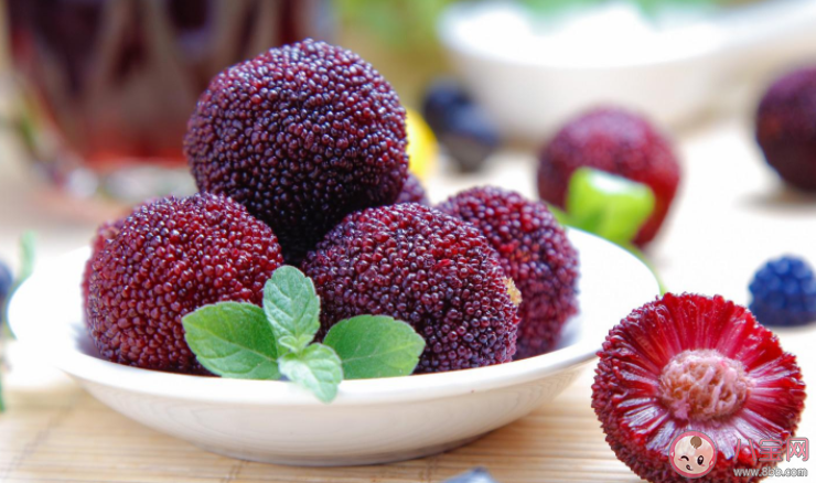 杨梅上有虫子和什么有关 新鲜杨梅的购买技巧 杨梅上有虫子和什么有关 新鲜杨梅的购买技巧