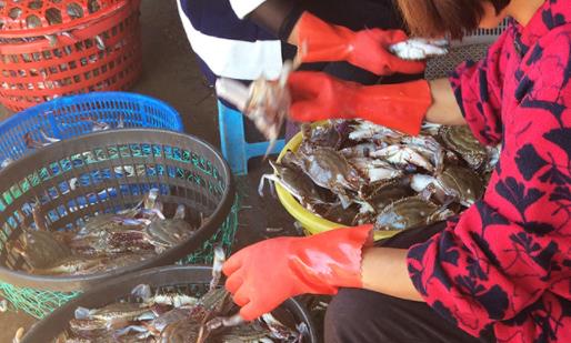 从冰箱里拿出来的螃蟹可以直接吃吗 螃蟹蒸到什么样才算熟