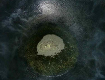 西红柿炒鸡蛋怎么炒 简单方法分享5