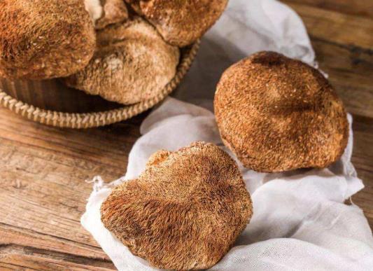 猴头菇的味道苦正常吗?猴头菇为啥吃起来是苦的