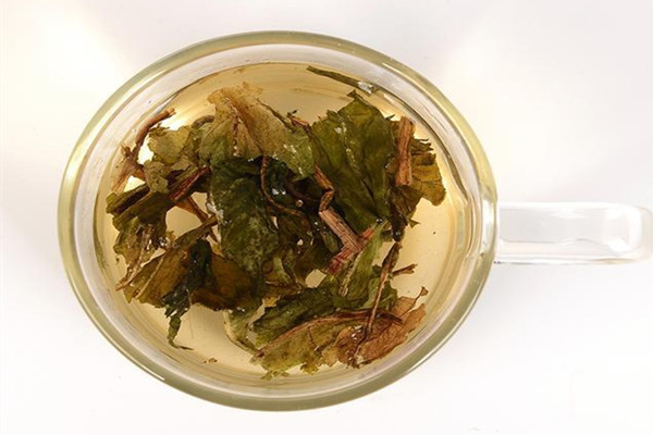 蒲公英茶泡多久就不能喝了 蒲公英茶可以隔夜喝吗 蒲公英茶泡多久就不能喝了 蒲公英茶可以隔夜喝吗