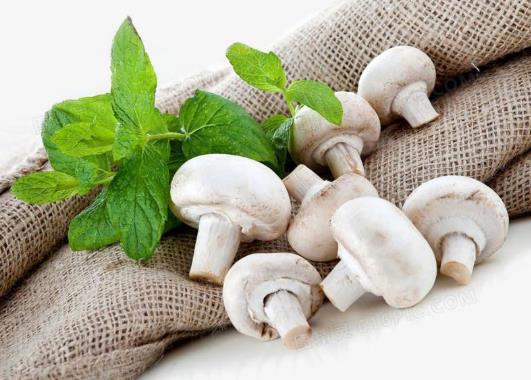 口蘑洗了后能放多久?白色口蘑是漂白的吗